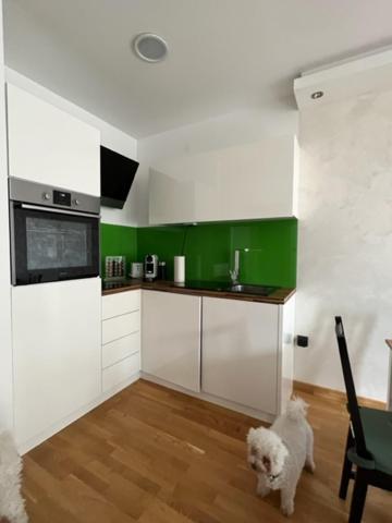 Schoenbrunn Luxury Apartment Vienna Exterior photo